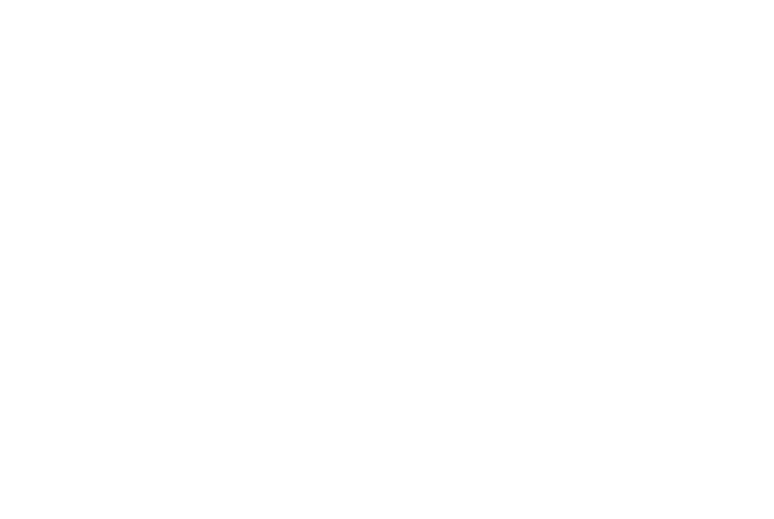 Robotizze Consult Logo